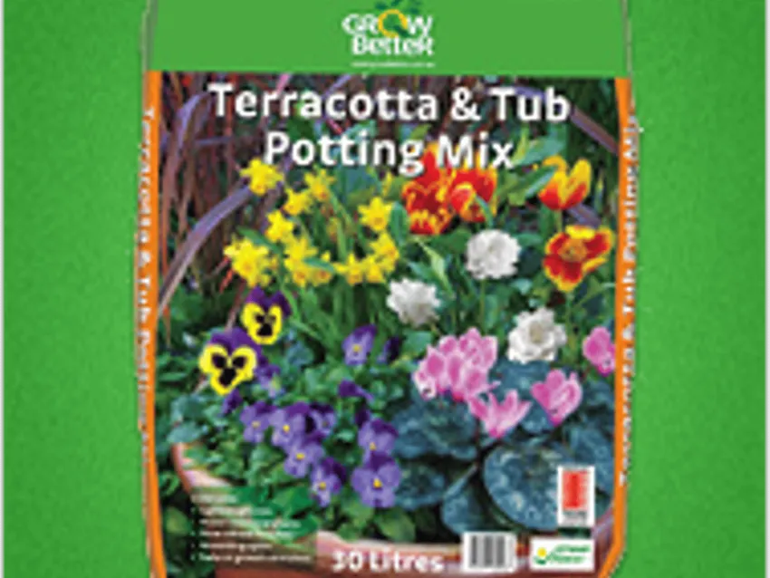 Somerville Garden Supplies - Terracotta Tub Mix