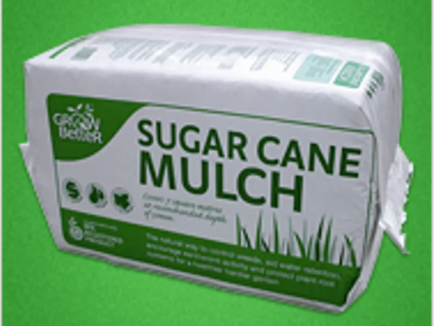 Somerville Garden Supplies - Sugar Cane