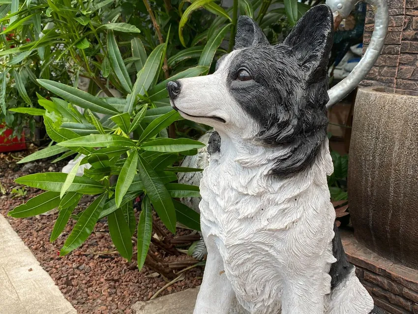 Somerville Garden Supplies - Border Collie Statue