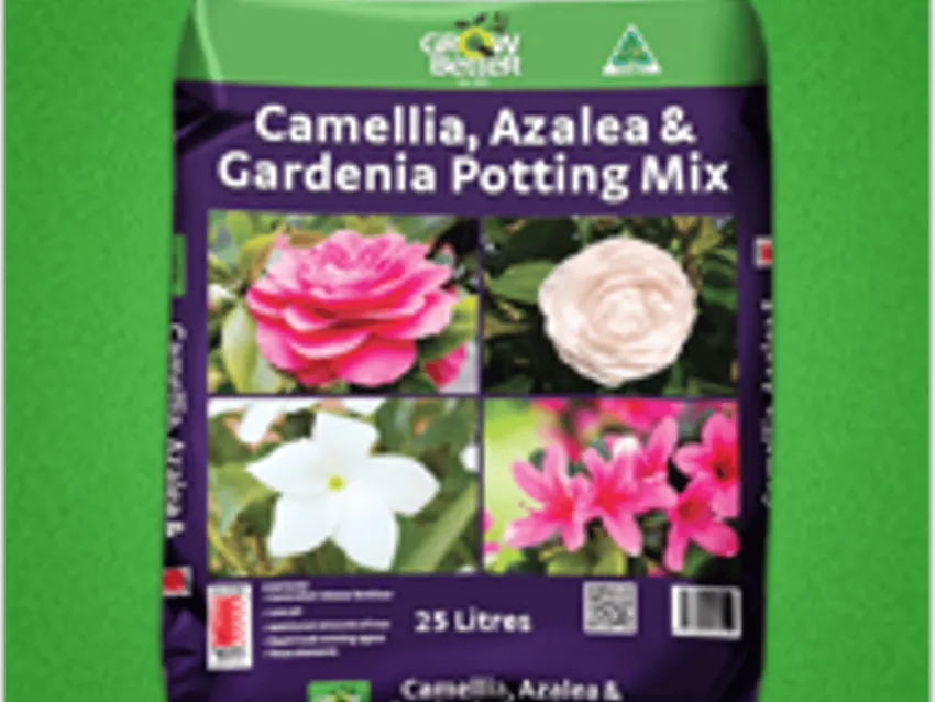 Somerville Garden Supplies - Camellia Azalea Gardenia Potting Mix