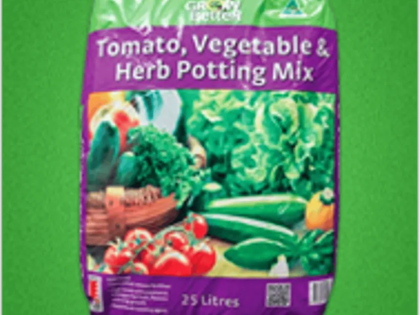 Somerville Garden Supplies - Tomato Veg Herb Potting Mix